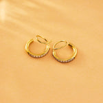 Swirl Crystal Earrings