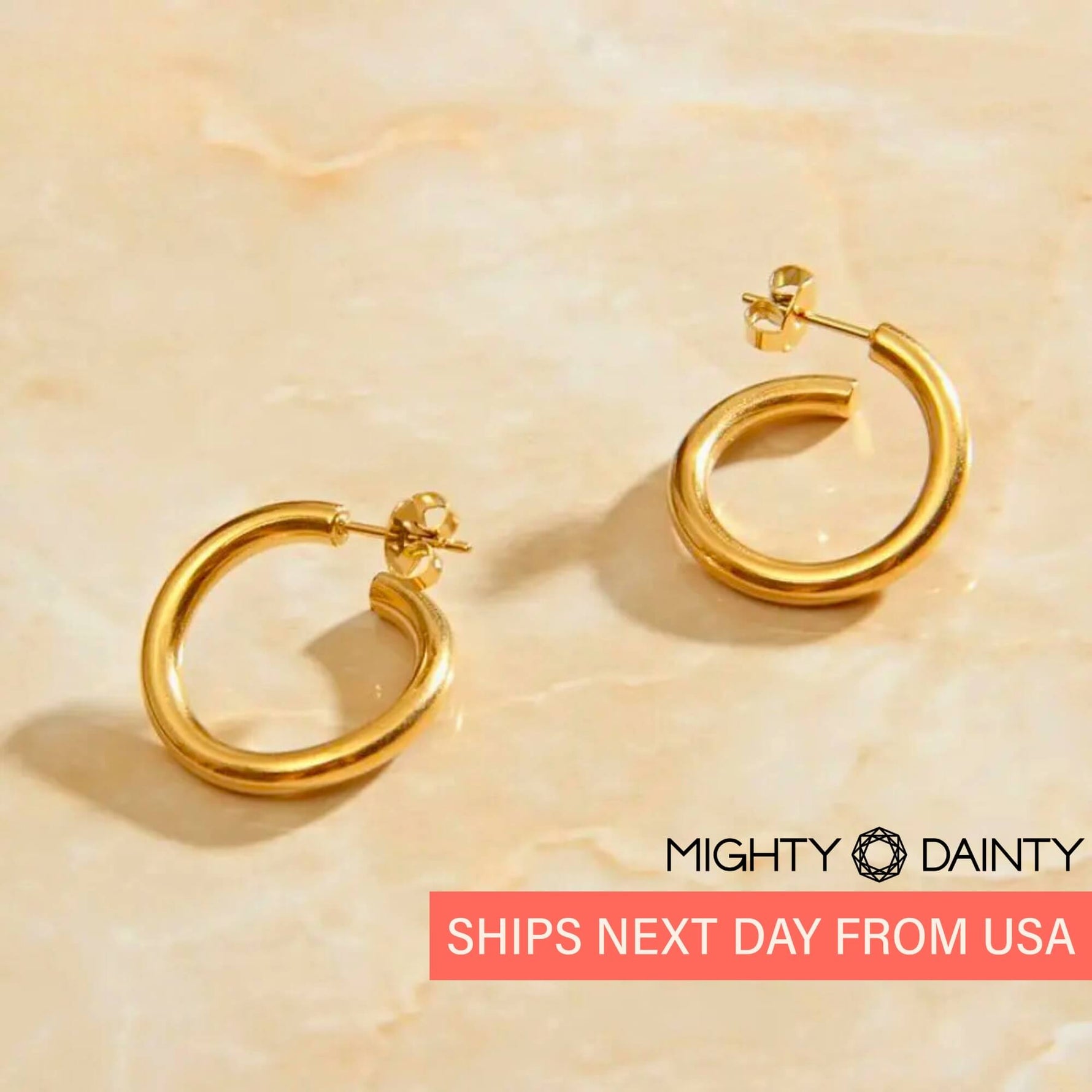 Twisted Hoop Earrings