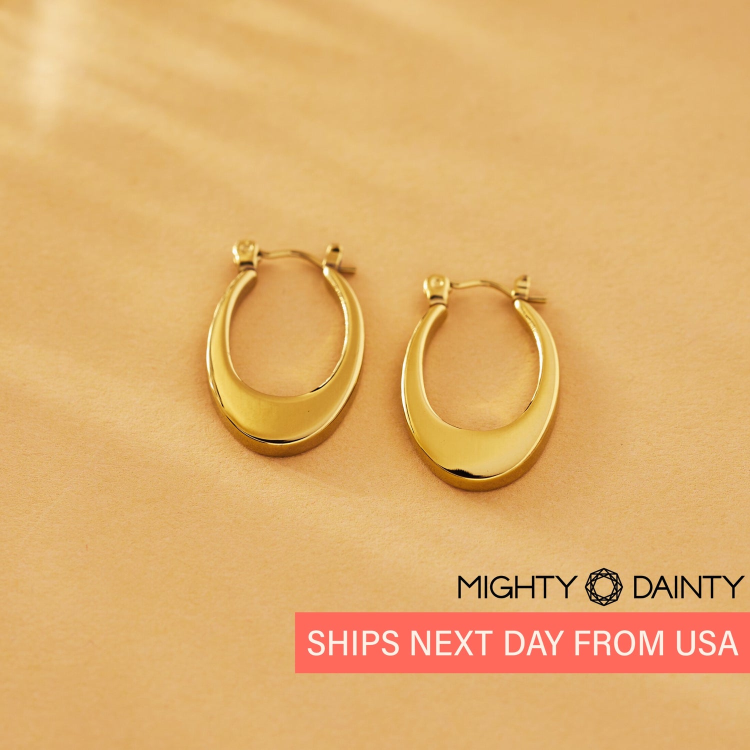 Oval Hoop Earrings