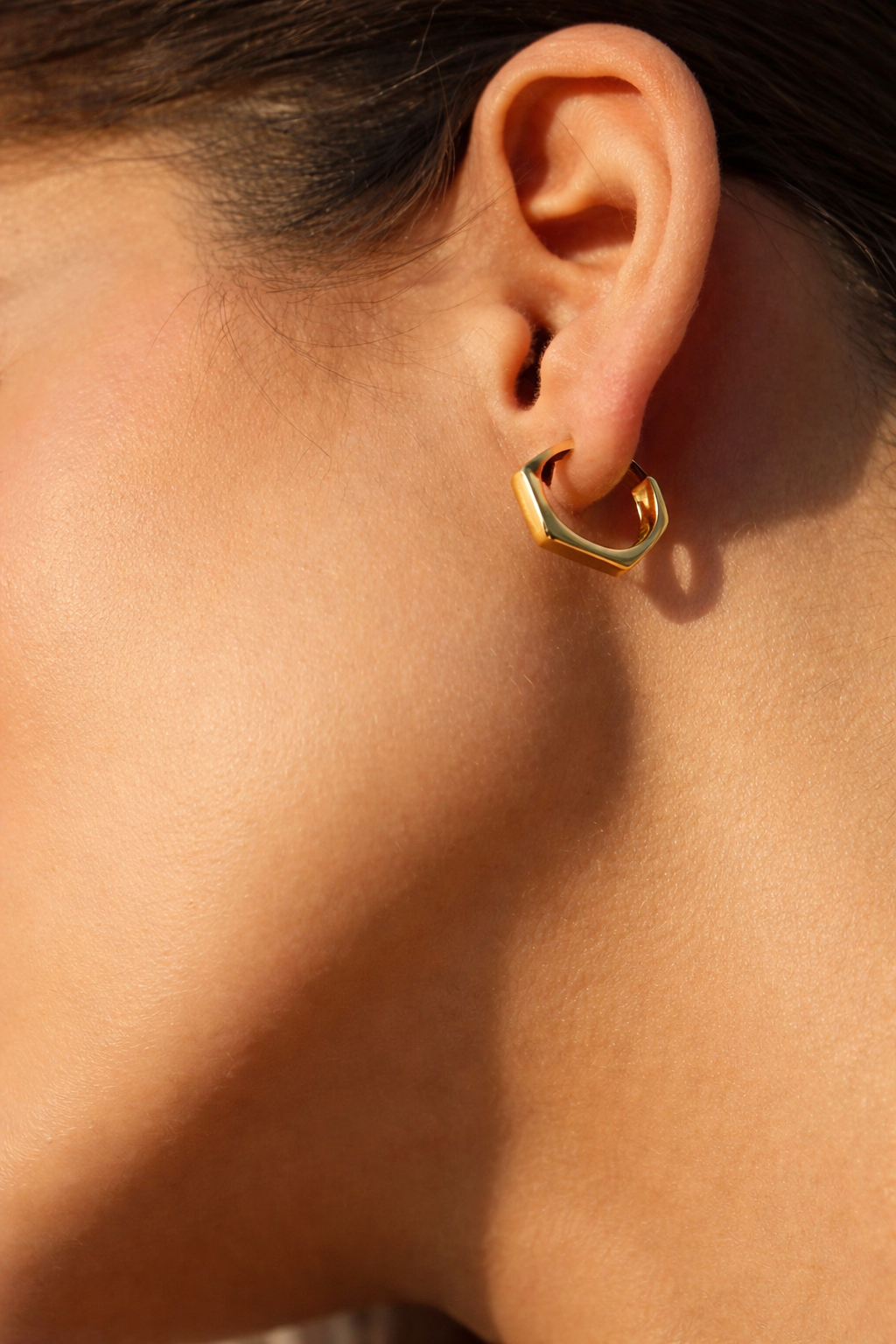 Hexogon Hoop Earrings