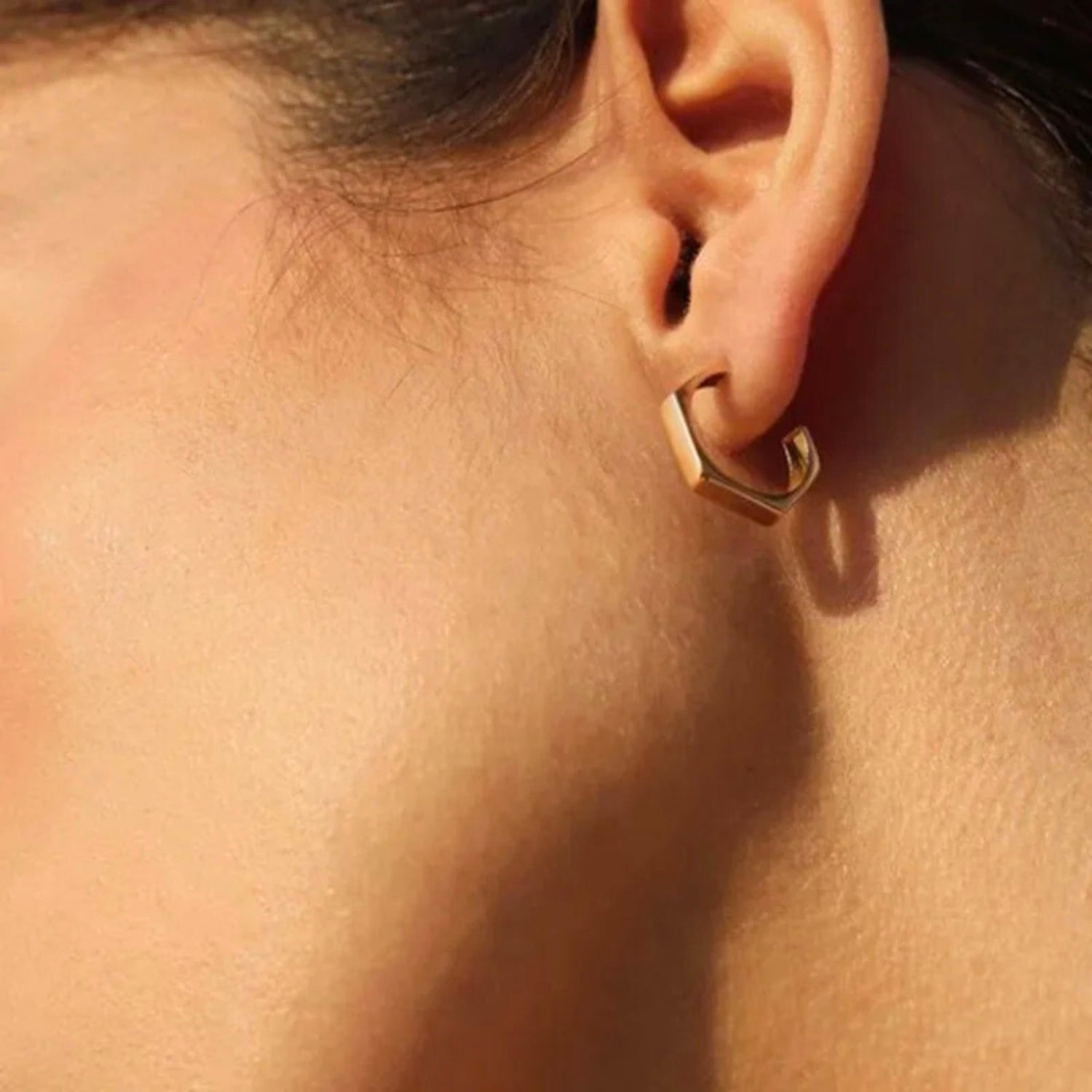 Hexogon Hoop Earrings
